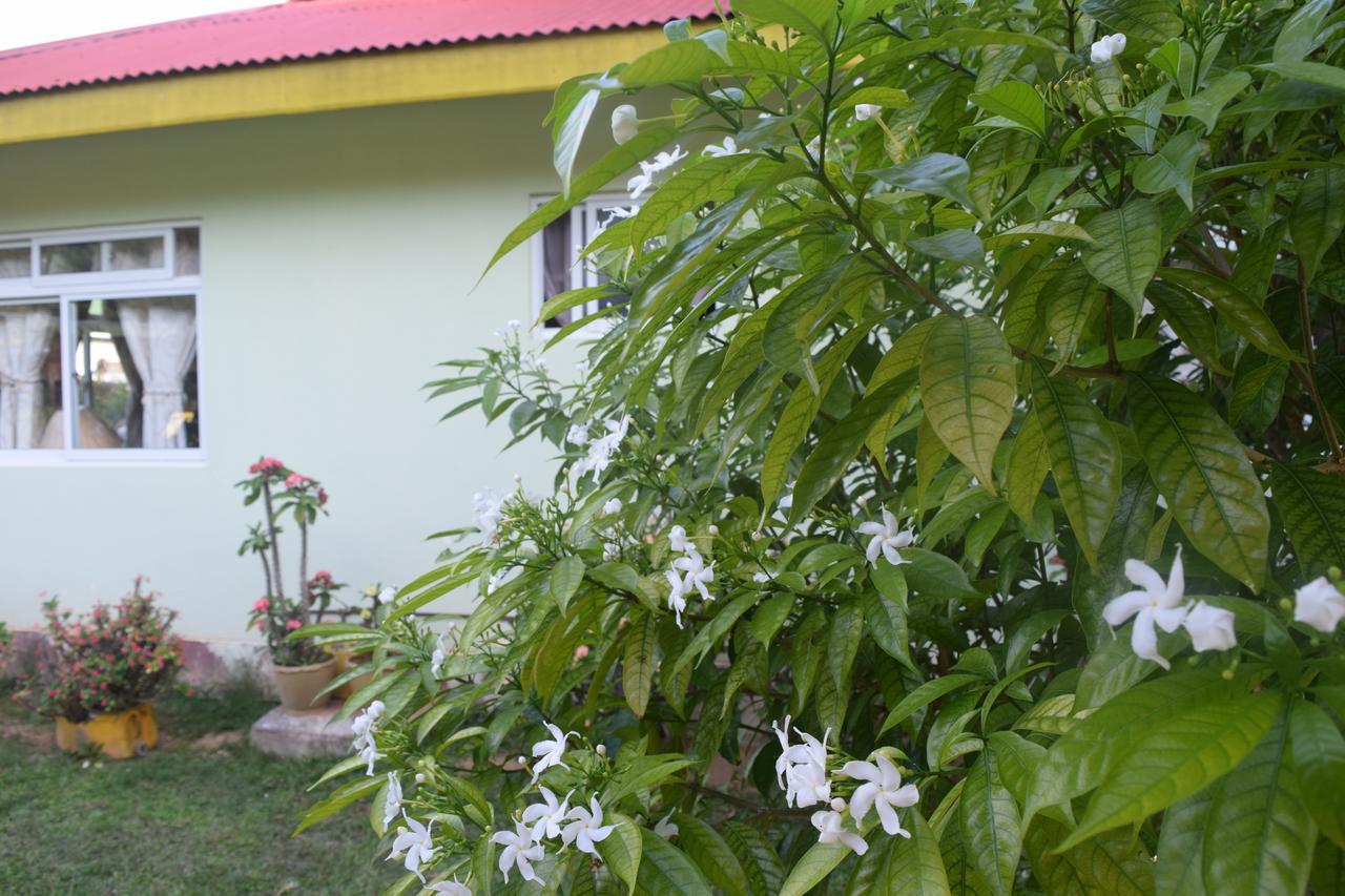 Pension Citadelle Otel La Digue Dış mekan fotoğraf